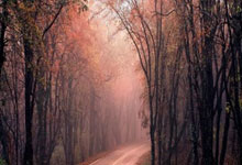 F1人物誌｜佩雷斯離紅牛　墨西哥童話來到最終章　不完美仍是傳奇.