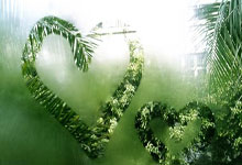 中超首轮纵览：申花、上港、国安争冠热门，泰山位置堪忧.