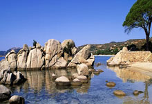 洪都拉斯总统所乘直升机紧急降落 机上人员无大碍.